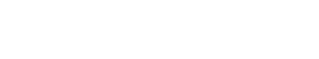 L2.webp