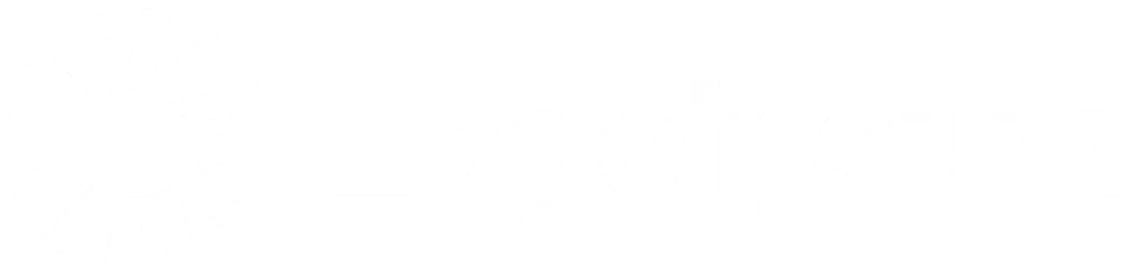 L3.webp